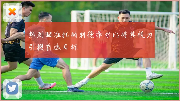 热刺瞄准托纳利德泽尔比将其视为引援首选目标